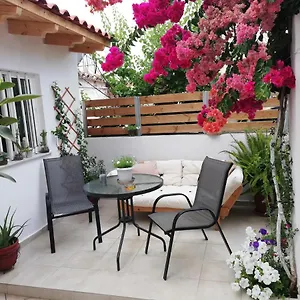 Small With Yard Apartament